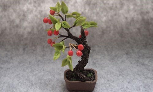 Mê tít những chậu bonsai cherry đẹp hút mắt