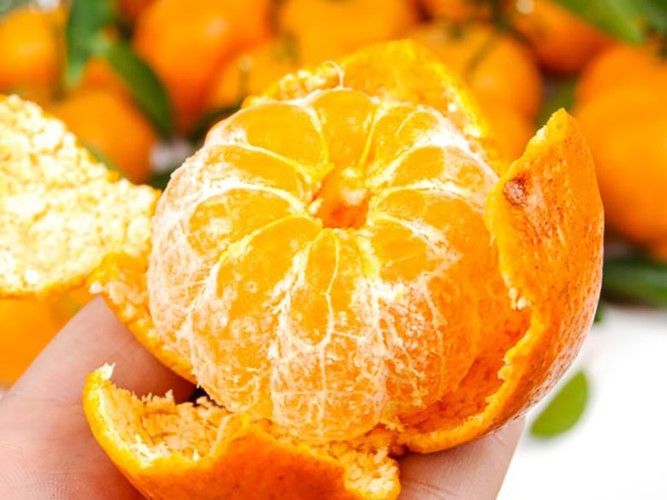 Trái cây họ cam quýt như cam, chanh và chanh là những nguồn cung cấp vitamin C lớn cho cơ thể. Vitamin C  tăng cường hệ miễn dịch bằng cách tăng sản xuất bạch cầu. Đây là một nguồn chống oxy hóa rất phong phú đồng thời cũng là chất chống viêm và chống vi khuẩn trong tự nhiên.