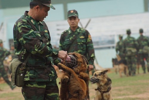 Nhiều bài võ đã được  Bộ đội Biên phòng đưa vào luyện tập, huấn luyện nhằm nâng cao thể lực, mang lại hiệu quả cao trong khi trấn áp các loại tội phạm và chiến đấu với kẻ địch. Đó là các bài võ sử dụng côn nhị khúc; đại đao, song côn; đánh phân thế chiến thuật; dao găm; trường côn; võ thể dục… Ảnh: TienPhong.