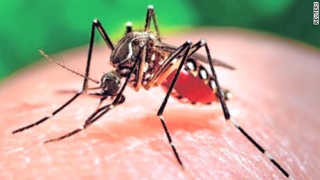 Zika là virus lây lan do muỗi vằn, nhưng khoa học đã chứng minh  virus Zika còn có thể lây nhiễm qua đường tình dục hoặc lây lan qua nước bọt khi hôn hoặc khi dùng chung dao kéo.  