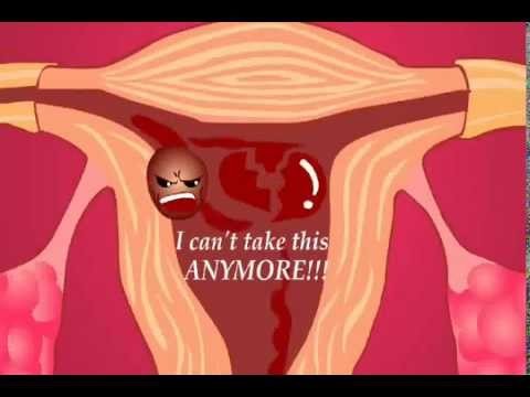 Khi đèn đỏ bắt đầu ghé thăm, lượng oestrogen và progesterone giảm xuống mức thấp nhất. Đây là lúc bạn có thể chạy tốc độ cao hoặc thực hiện các hoạt động thể thao cường độ cao mà không thấy mệt. Tuy nhiên, chỉ nên  tập luyện trong kỳ đèn đỏ một cách nhẹ nhàng như tập các bài tập cardio nhẹ nhàng hoặc bơi lội. 