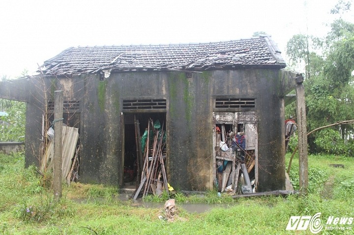 Chuyện về  ba mẹ con “ người rừng” ở thôn Sư Lỗ (xã Lộc Điền, huyện Phú Lộc, tỉnh Thừa Thiên – Huế) từng gây xôn xao dư luận. Tuy nhiên, cuộc sống hiện tại của của ba mẹ con bây giờ ra sao thì không phải ai cũng biết.  