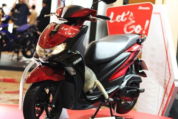 Mới đây, hãng xe máy Nhật Bản vừa cho ra mắt mẫu  Yamaha FreeGo 2020 mới đi kèm bộ màu đầy cá tính dành cho thị trường Thái Lan. Chiếc xe tay ga mang khối động cơ 125cc này tập trung vào công năng như dễ sử dụng, tiết kiệm nhiên liệu và phù hợp cho mục đích sử dụng gia đình.