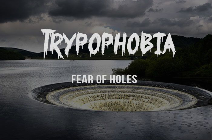  1. Trypophobia - Sợ hãi "những cái lỗ": Trypophobia là dạng bệnh tâm lý chưa được công nhận, đó là ta có cảm giác nổi da gà, cảm giác ghê rợn, ám ảnh khi nhìn thấy hình ảnh có nhiều lỗ tròn hoặc nhóm các lỗ tròn, ví dụ như tổ ong, bát sen, lỗ đục trên thân cây, các hình xăm lỗ trên cơ thể người...