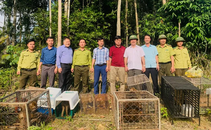 Theo đó, các cá thể  động vật hoang dã được tái thả lần này gồm: 4 cá thể khỉ mặt đỏ (tên khoa học là Macacaarctoide); 7 cá thể khỉ đuôi lợn (tên khoa học là Macaca nemestrina), 1 cá thể khỉ mốc (tên khoa học là Macaca assamensis) và 1 cá thể trăn mốc (tên khoa học là Python bivittatus).