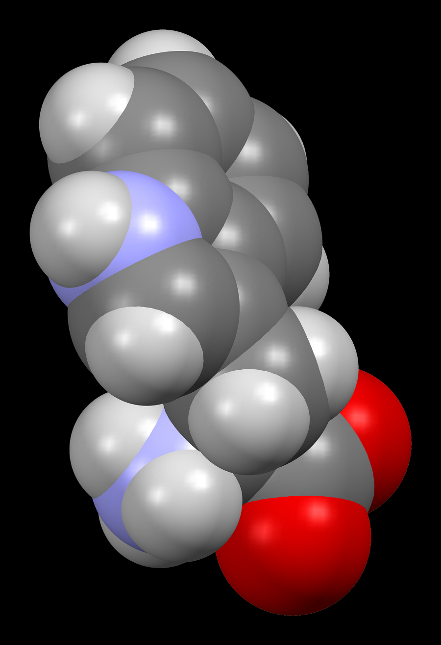 Tryptophan có cấu trúc hóa học độc đáo, với một vòng benzene và một chuỗi phụ gắn liền.