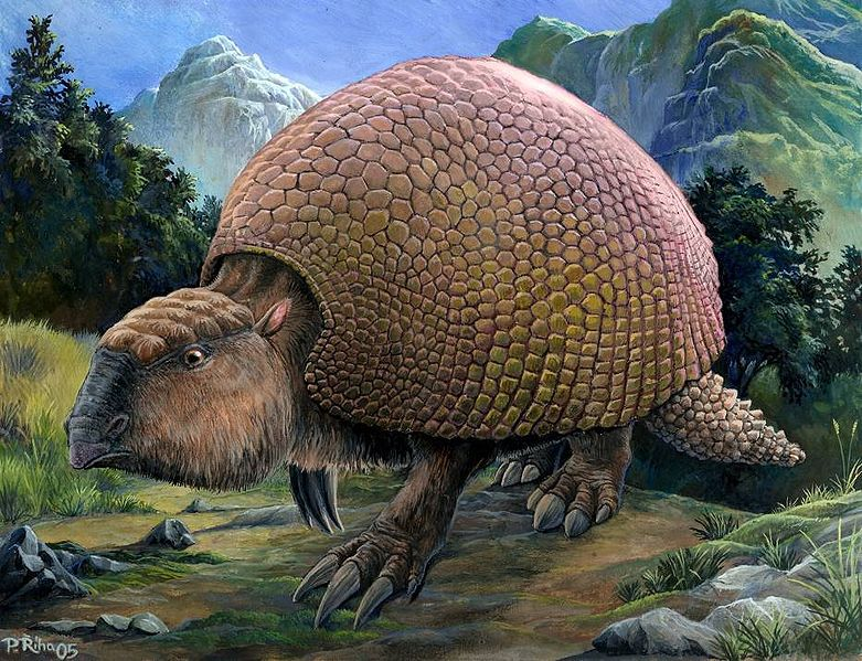 1. Glyptodon: Đây là một loài  động vật có vỏ giáp cực kỳ cứng, có kích thước tương đương với một chiếc ô tô. Glyptodon có thân dài hơn 3m và nặng gần 2 tấn, sống ở khu vực Bắc và Nam Mỹ.