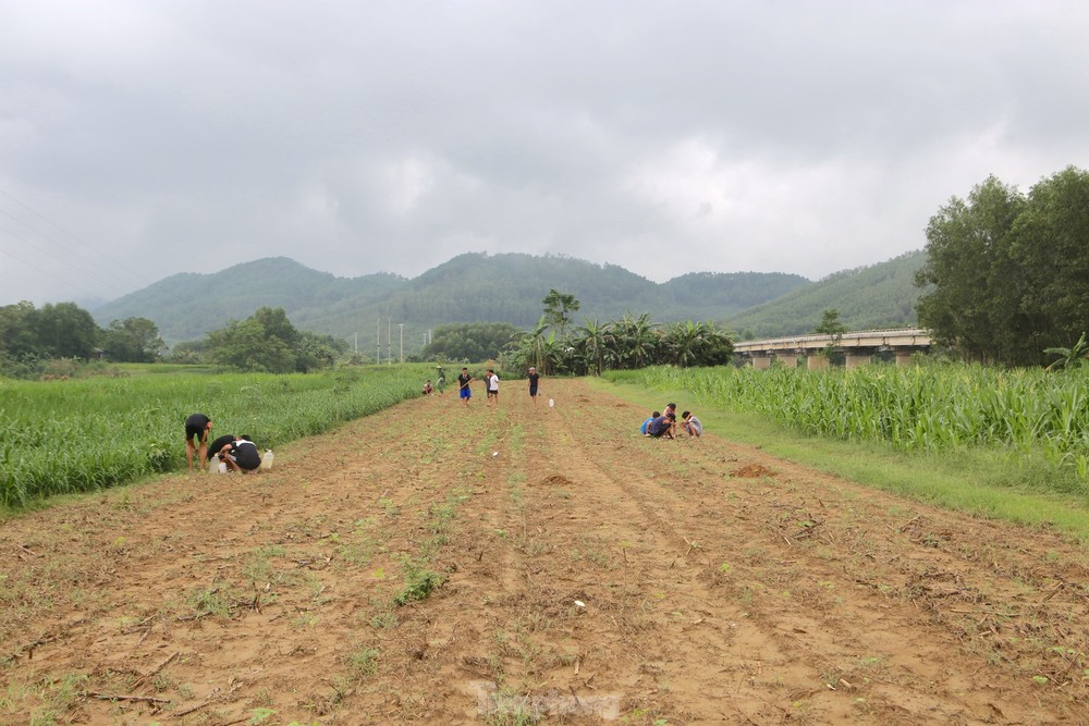 Cứ đến tháng 7-9 âm lịch, người dân các xã ở huyện Hương Sơn lại đổ xô ra các cánh đồng, bãi đất bồi ở ven sông để bắt dế. Dế là loài  côn trùng thuộc bộ cánh thẳng, có râu dài, cặp chân sau to, khỏe, đào hang sống dưới đất.