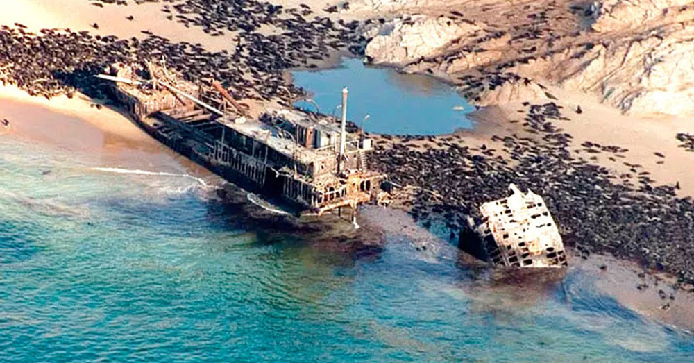 1. Skeleton Coast tại Namibia: Bờ biển Skeleton của Namibia là một  khu vực cấm kỵ và bí ẩn. Nơi này tràn ngập xác tàu đắm, tòa nhà bỏ hoang và tàn tích của những nhà thám hiểm lãng quên. Vùng đất hoang dã này là nơi sống của nhiều loài săn mồi nguy hiểm như sư tử, linh cẩu, báo gêpa và chó rừng.