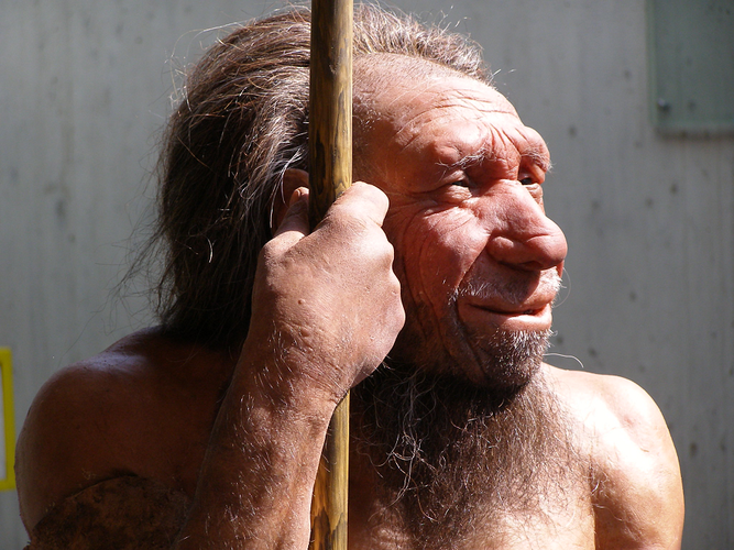 Neanderthals là một "loài anh em" với Homo sapiens, cùng thuộc chi Người (Homo), đã tuyệt chủng khoảng hơn 30.000 năm trước.