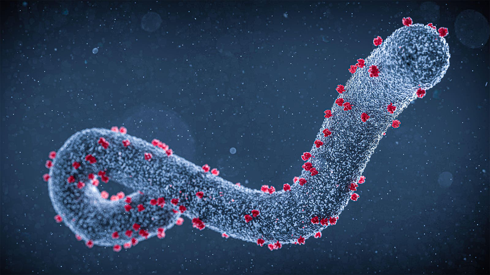 1. Virus Marburg: Là họ hàng của  virus Ebola, virus Marburg được xem là virus nguy hiểm nhất đối với loài người. Nó gây ra bệnh sốt xuất huyết với các triệu chứng như co giật, chảy máu từ các màng nhầy, da và cơ quan nội tạng, với tỷ lệ tử vong từ 50-100% chỉ sau 8-10 ngày nhiễm bệnh.