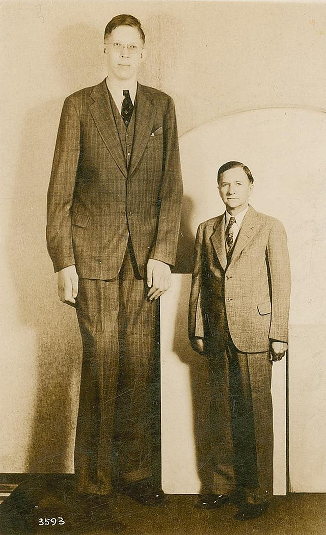 1. Người cao nhất thế giới: Robert Wadlow, sinh ngày 22/ 2 /1918, tại Alton, Illinois, Mỹ, là người cao nhất từng được ghi nhận trong lịch sử. Với chiều cao 2,72 mét (8 feet 11 inches), Wadlow đã tạo nên một  kỷ lục chưa bao giờ bị phá kể từ khi ông qua đời vào năm 1940. Sự phát triển vượt trội của ông là do một rối loạn tuyến yên khiến cơ thể sản xuất quá mức hormone tăng trưởng. (Ảnh: Wikipedia)