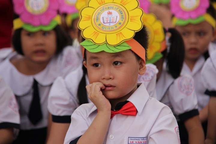 Chùm ảnh “heo vàng” bỡ ngỡ vào lớp 1