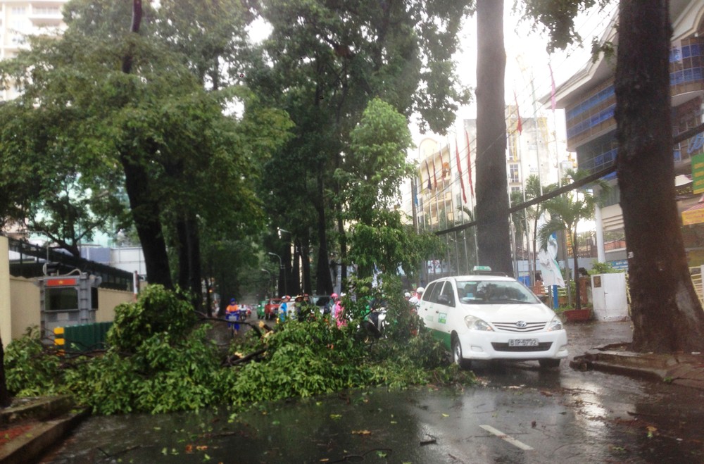 Khoảng gần 15h ngày 17/8, trong cơn mưa như trút nước, bất ngờ một trận cuồng phong ập vào các quận trung tâm TP HCM.