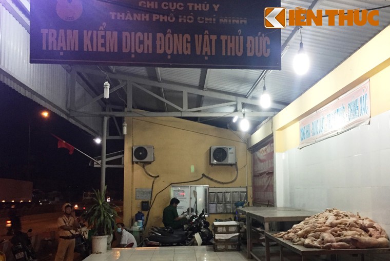 Gần 22h đêm 31/12, tổ công tác Liên ngành gồm Trạm Kiểm dịch động vật (KDĐV, Chi cục Thú y TP HCM) và CSGT Rạch Chiếc (PC67, Công an TP HCM) phát hiện chiếc xe khách giường nằm mang biển số tỉnh Tiền Giang lưu thông trên QL1 (qua khu vực phường Linh Trung, quận Thủ Đức) theo hướng từ Đồng Nai vào có nhiều dấu hiệu khả nghi nên chặn dừng kiểm tra.