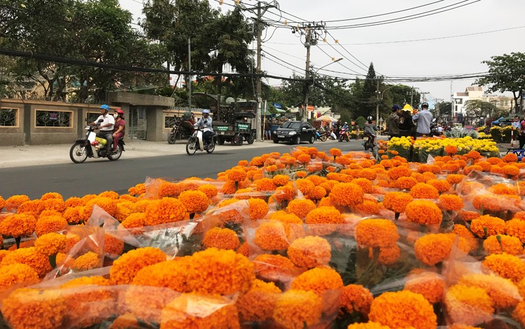 Giữa trưa nay 30 Tết (15/2), những giờ cuối cùng chuẩn bị đón giao thừa mừng năm mới Mậu Tuất,  đường phố TP.HCM từ trung tâm ra đến các quận, huyện ngoại thành tràn ngập sắc hoa rực rỡ.  