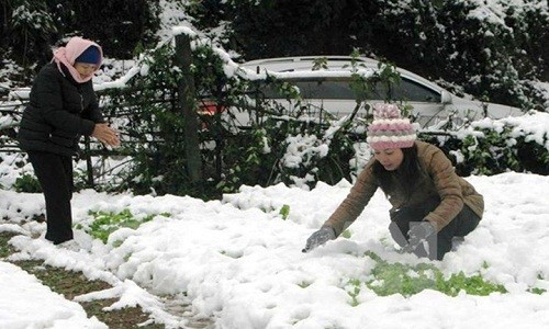 Đợt rét buốt kỷ lục tại miền Bắc kéo dài bao lâu?