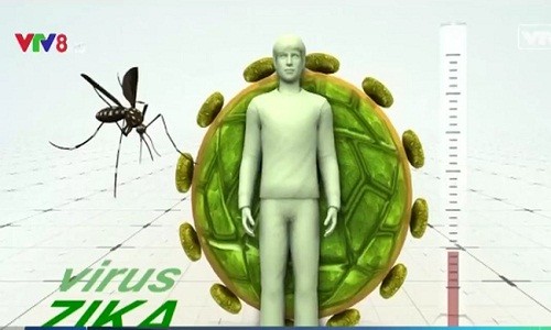 Virus Zika ở Brazil tương đồng với virus Zika ở châu Á