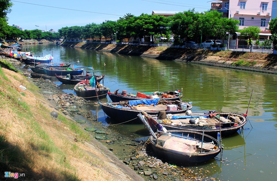 Sáng 21/8, người dân sống dọc sông Phú Lộc, đoạn qua phường Thanh Khê Tây (quận Thanh Khê), bức xúc phản ánh việc  cá chết hàng loạt nổi trắng sông, bốc mùi hôi thối.