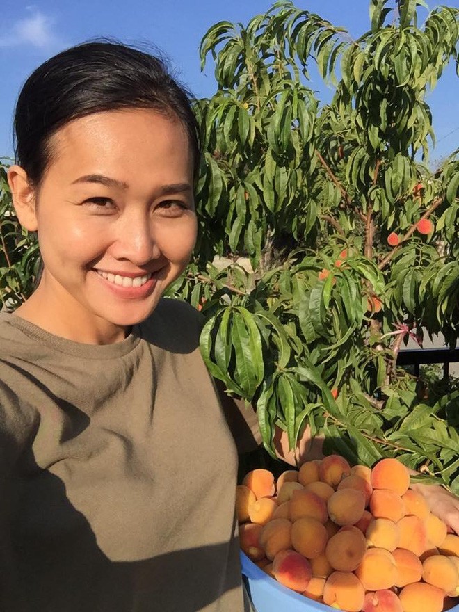  1. Vườn rau trái "ăn mãi không hết" của hoa hậu Dương Mỹ Linh  Vườn rau trái của Hoa hậu Phụ nữ Việt Nam qua ảnh 2006 Dương Mỹ Linh trồng đủ loại rau và trái cây Việt, từ rau muống, su su, rau cải, đến đào, táo, nhãn... Ảnh: afamily.vn.