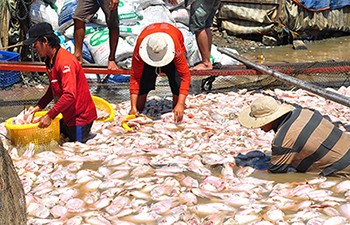 Công bố nguyên nhân ban đầu 1.500 tấn cá chết nổi trắng sông La Ngà