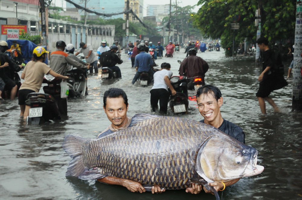 Dường như thử thách do dịch COVID-19 là chưa đủ, ảnh hưởng của áp thấp nhiệt đới khiến TP.HCM những ngày qua có  mưa lớn kéo dài.