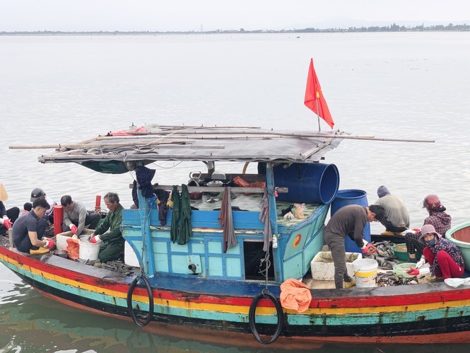 Tại cảng Cửa Sót, huyện Lộc Hà (Hà Tĩnh), trong những ngày qua ngư dân ra khơi đánh bắt sò mai đều trở về với con thuyền đầy khoang “lộc trời”. 