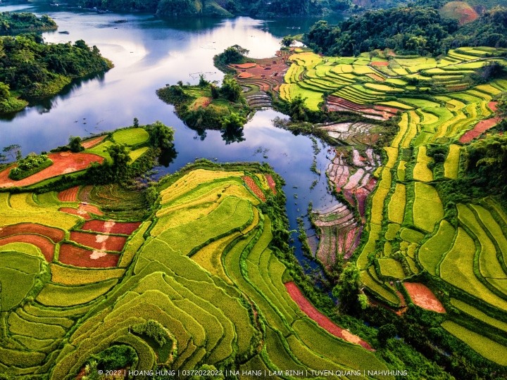 Không chỉ có ở Lào Cai hay Hà Giang, ít ai biết được rằng đi  du lịch Tuyên Quang cũng có thể ngắm được những cánh động ruộng bậc thang đẹp ngoạn mục. Điển hình là ruộng bậc thang Hồng Thái thuộc huyện Na Hang. Ảnh: Hoàng Hưng