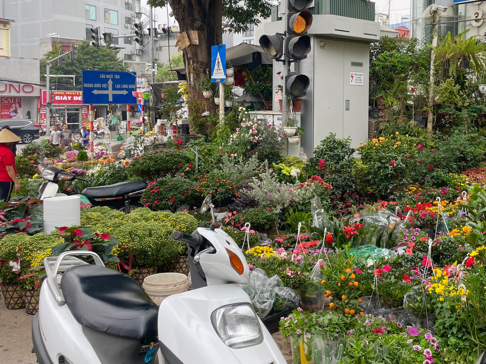     Đường Hoàng Hoa Thám (hay còn gọi Phố cây cảnh) nhộn nhịp dịp "người mua kẻ bán". Đây được xem là một trong ba chợ hoa lớn nhất Hà thành, bên cạnh chợ hoa Quảng An và chợ hoa Hàng Lược. Ảnh: Phương Linh - Nguyễn Tùng.  