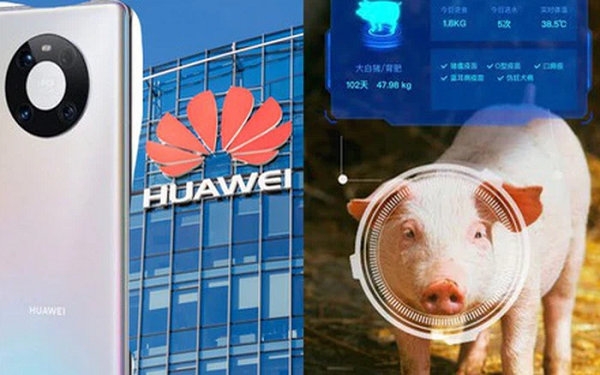 Lệnh trừng phạt mới của Mỹ đã giáng một đòn nặng nề vào đầu  Huawei, khiến cho hãng smartphone Trung Quốc không còn có thể tự sản xuất chip xử lý cho những thiết bị di động của mình nữa.