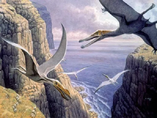  Thằn lằn bay Pterosaur được mệnh danh là sinh vật hay ho nhất từng xuất hiện trên không trung. Chúng biết bay trước cả chim và dơi, cũng là loài có dây sống đầu tiên có thể bay. Ngoài ra, kích thước của chúng là lớn nhất trong tất cả các loài động vật biết bay