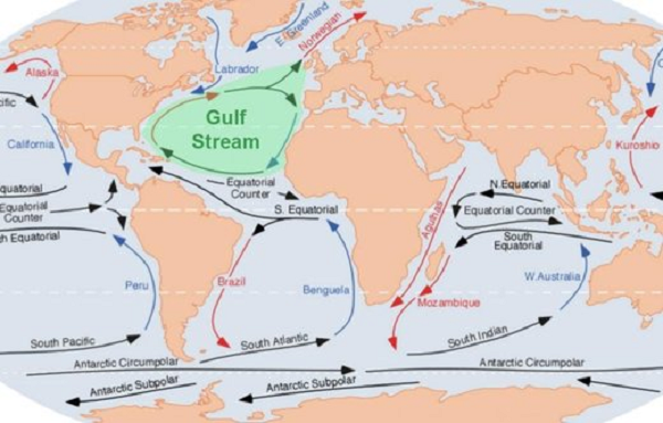 Gulf Stream là 1 dòng nước ấm mạnh chảy từ xích đạo lên phía Bắc và chảy theo mùa, dọc phân nửa phía Nam bờ biển châu Mỹ, rồi vượt qua Đại Tây Dương để đến bờ biển châu Âu.