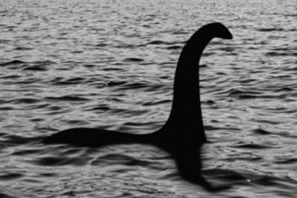  Quái vật hồ Loch Ness là một trong những bí ẩn lớn nhất mà cho đến tận ngày nay, nhân loại vẫn chưa thể giải mã được. Rất nhiều nhân chứng cho biết họ đã tận mắt nhìn thấy con quái vật này nhưng lại không thể tìm thấy tung tích.