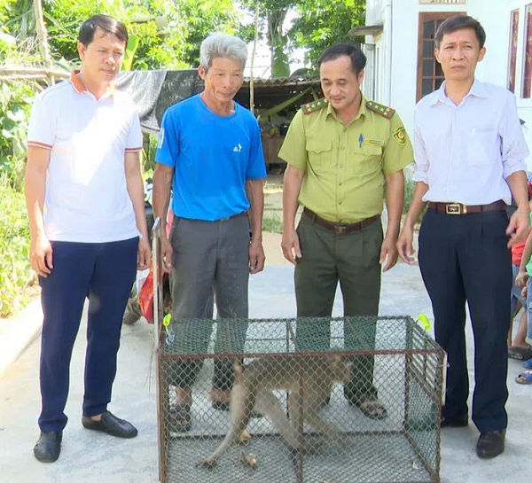 2 cá thể  động vật quý hiếm mới đây đã được ông Dương Tùng Phương, trú tại thôn Võ Thuận 2, xã Tây Trạch, huyện Bố Trạch và ông Nguyễn Văn Hiệu trú tại thôn 6, xã Xuân Trạch, huyện Bố Trạch tự nguyện giao nộp.