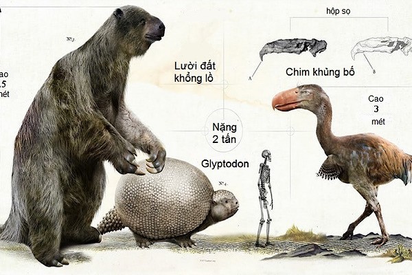 Lười đất khổng lồ kỷ Băng hà (Megatherium) cao 5,5 mét. Trong khi đó, Glyptodon, họ hàng thời tiền sử của con tatu ngày nay, to ngang một chiếc ôtô VW Beetle. Chim khủng bố, loài chim ăn thịt đến từ Đại Tân sinh, cao 3 mét.