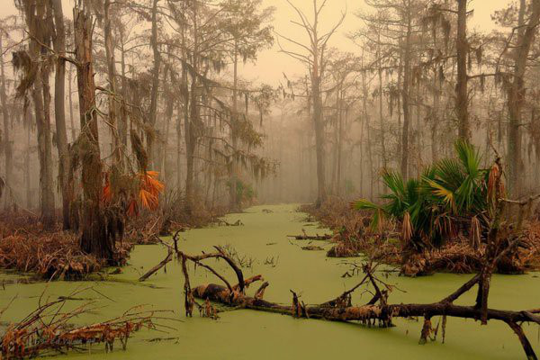 Được mệnh danh là "đầm lầy ma" hay "đầm lầy tử thần", Manchac nằm ở New Orleans, tiểu bang Louisiana, phía nam nước Mỹ. Không khí u ám, những ngôi mộ tập thể, cá sấu châu Mỹ hung tợn cũng như những thân cây có hình dáng ma quái là những thứ khiến không ai dám đặt chân đến  địa danh đáng sợ này.