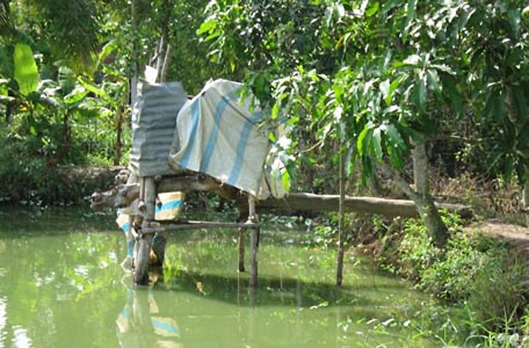 Ngày 16/9, Ngân hàng Thế giới công bố một chương trình nghiên cứu về liên hệ giữa tình trạng trẻ chậm lớn và vệ sinh môi trường ở nông thôn Việt Nam. Theo đó, một trong các nguyên nhân khiến trẻ em Việt thấp còi là nhà vệ sinh quá bẩn.