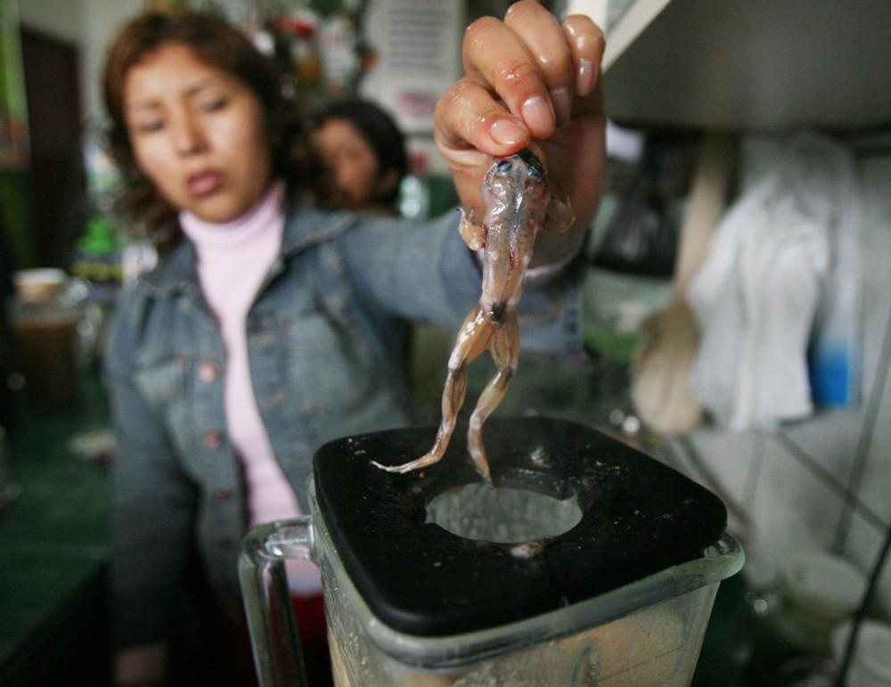 Sinh tố nhái sống (Lima, Peru): Được cho là có thể chữa các bệnh về hen suyễn và tăng cường sinh lực cho nam giới,  món ăn kinh dị này gồm nhái được lột da, làm sạch nội tạng, sau đó xay nhuyễn cùng cà rốt, rễ maca Peru và mật ong. Ảnh: This Is Insider.