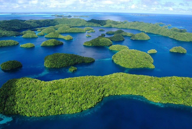 Palau (Diện tích: 459 km2; Dân số: 21.347 người) Palau là một đảo quốc bao gồm hơn 300 hòn đảo lớn nhỏ khác nhau. Rừng nhiệt đới ở đây có nhiều loài thực vật và chim đặc hữu, trong khi vùng biển quanh đảo là nơi sinh sống của hơn 130 loài cá mập. Nhưng địa điểm nổi tiếng nhất của một trong những  quốc gia nhỏ nhất thế giới này là hồ nước mặn với hơn 2 triệu con sứa.