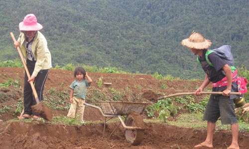 Bi kịch của những sơn nữ dọa "cưỡi lá về trời" để được lấy chồng