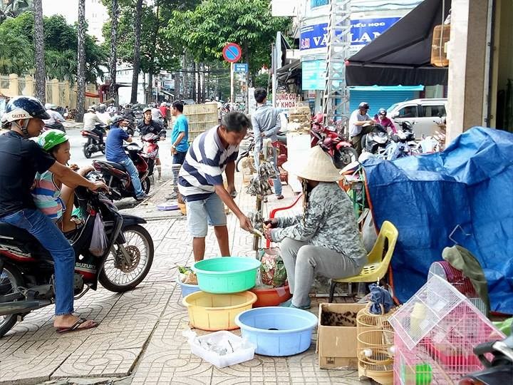 Chợ có diện tích chưa đến 30m² nhưng đã tồn tại khoảng 20 năm, nằm nép mình ở một góc nhỏ vỉa hè bên hông Thuận Kiều Plaza quận 5, TPHCM. Đây là  khu vực buôn bán sâu bọ, cào cào, dế, châu chấu, thậm chí có cả bọ cạp. Khách hàng chủ yếu của khu chợ là những người chơi chim cảnh, cá cảnh.