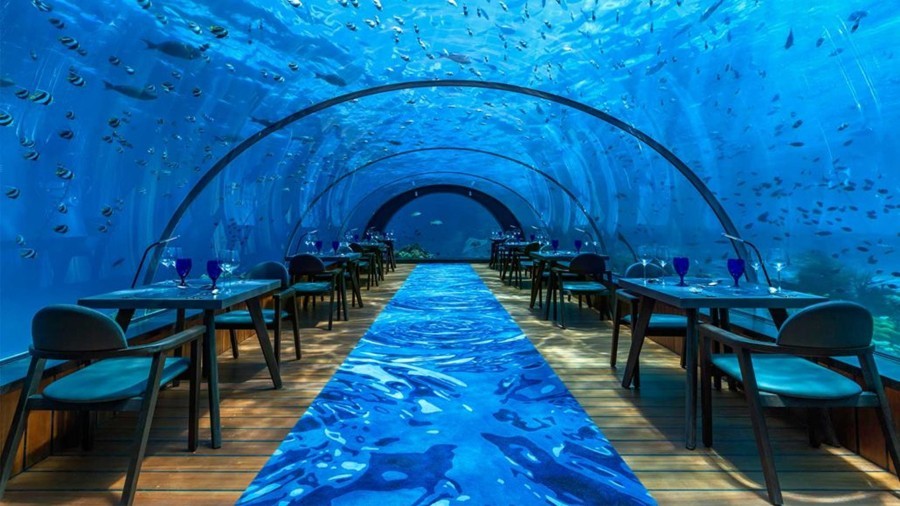 Nằm trong khu nghỉ dưỡng 5 sao Hurawalhi trên đảo Lhaviyani Atoll, thuộc quần đảo Maldives, 5.8 Undersea Restaurant là  nhà hàng bằng kính dưới nước lớn nhất thế giới.