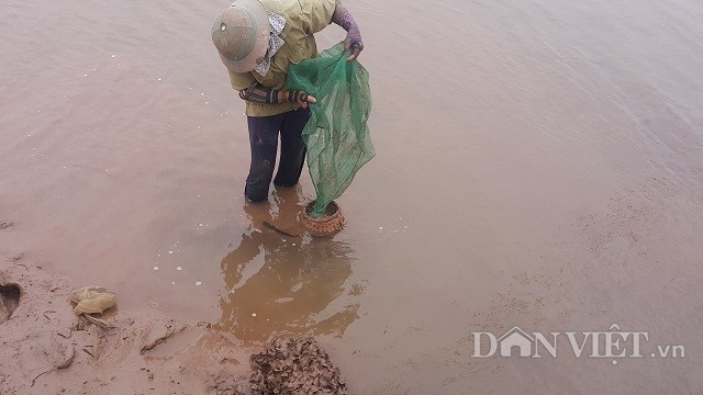 Do đợt không khí lạnh mạnh tràn xuống khiến nhiệt độ toàn miền Bắc xuống thấp tới mức kỉ lục, miền núi có khả năng xuất hiện băng giá. Đối với các tỉnh đồng bằng, trong đó có tỉnh Nam Định rét sâu 9-11 độ C, dù nhiệt độ xuống thấp như thế nhưng nhiều người vẫn lặn lội dưới bùn lầy ở ven biển huyện Nghĩa Hưng (Nam Định)  mưu sinh.