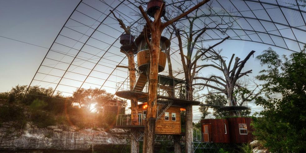 Nhà cây tại The Nest tại Cypress Valley Canopy Tours, Texas Căn  nhà cây hai phòng ngủ này treo lơ lửng trên một con lạch và thác nước nhỏ có thể chứa được từ 4 đến 6 người ngủ ở trong. Nhà hoàn toàn đầy đủ mọi tiện nghi, có bếp nhỏ, phòng ăn và khu vực tiếp khách. Ngoài một vòi sen ngoài trời, đi qua một cây cầu nhỏ sẽ đưa đến cho bạn một bồn tắm với vòi sen ở khu vực phòng tắm khá rộng rãi.