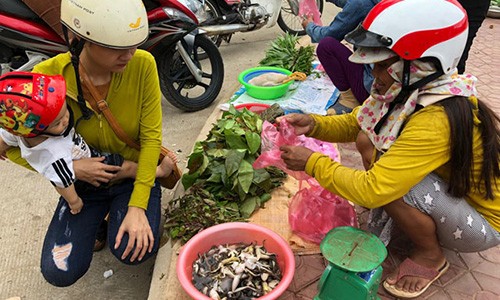 Đặc sản ếch núi "ngàn năm tráng kiện", có tiền cũng không dễ mua