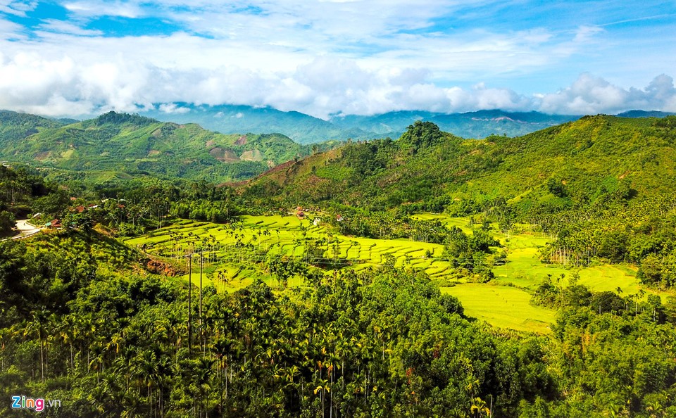 Rừng  cau bạt ngàn ở xã Sơn Long, huyện vùng cao Sơn Tây. Đây là loại cây trồng truyền thống, đồng bào dân tộc Cadong nơi đây trồng cau để hái trái ăn trầu, tạo cảnh quan đẹp cho vườn đồi. Nhiều năm gần đây, giá cau tăng mạnh trở thành thị trường hàng hóa mang lại thu nhập cao cho người dân.