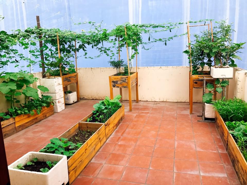 Khoảng sân thượng chỉ với 30m2 đã được người phụ nữ đảm đang Phạm Ngọc ( Gò Vấp, TP.HCM) dành nhiều thời gian và tâm huyết để thỏa mãn niềm đam mê làm vườn, trồng rau quả cho gia đình mình.