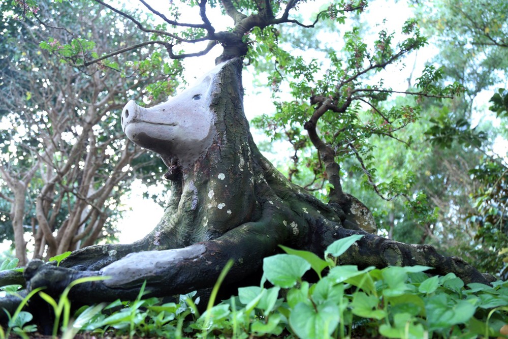 Tại hội hoa xuân Phú Mỹ Hưng (quận 7, TP.HCM) nhiều cây kiểng, bonsai có dáng “độc” lạ đang được các nghệ nhân khắp mọi miền cả nước vận chuyển về đây tham gia. Trong những cây kiểng “độc”, có cây khế được tạo hình đầu heo khiến nhiều người dân và du khách ngỡ ngàng, thích thú.