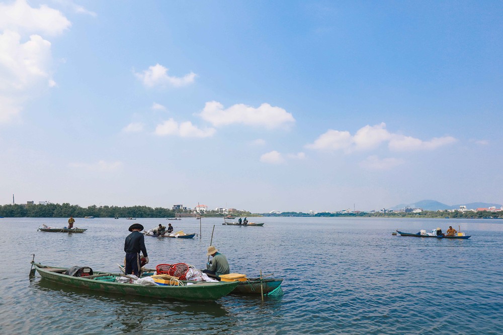 Hàng chục ghe, thuyền của người dân ở các huyện Đại Lộc, Thăng Bình, Duy Xuyên tỉnh Quảng Nam đỗ về ngã ba sông Hàn (Đà Nẵng) để lặn bắt vẹm đen. Vài tháng trở lại đây, nhiều thương lái trong và ngoài tỉnh lùng mua vẹm với giá từ 8.000 đồng/kg.