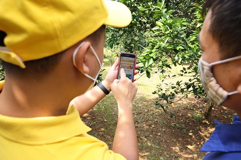 Chín triệu hộ nông dân và "cuộc đại thay đổi" trên 7 triệu mảnh ruộng